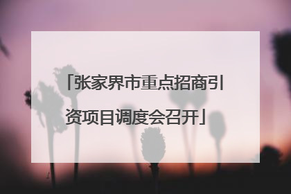 张家界市重点招商引资项目调度会召开