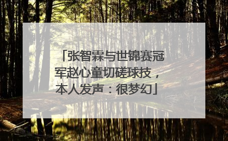 张智霖与世锦赛冠军赵心童切磋球技，本人发声：很梦幻