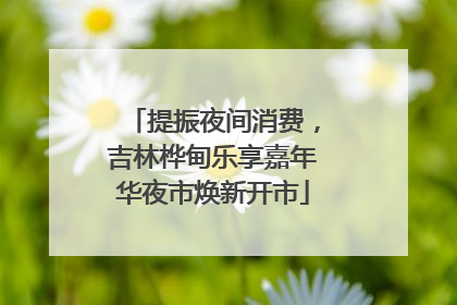 提振夜间消费，吉林桦甸乐享嘉年华夜市焕新开市