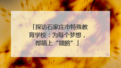 探访石家庄市特殊教育学校：为每个梦想，都插上“翅膀”