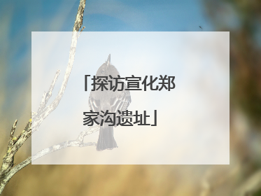 探访宣化郑家沟遗址
