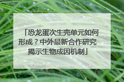 恐龙蛋次生壳单元如何形成？中外最新合作研究揭示生物成因机制