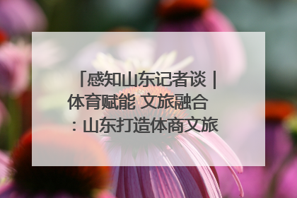 感知山东记者谈｜体育赋能 文旅融合：山东打造体商文旅融合发展新格局