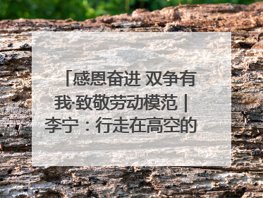 感恩奋进 双争有我·致敬劳动模范｜李宁：行走在高空的“电网卫士”