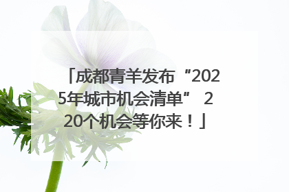 成都青羊发布“2025年城市机会清单” 220个机会等你来！
