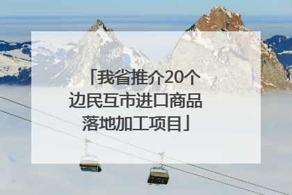 我省推介20个边民互市进口商品落地加工项目