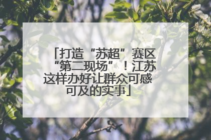 打造“苏超”赛区“第二现场”！江苏这样办好让群众可感可及的实事
