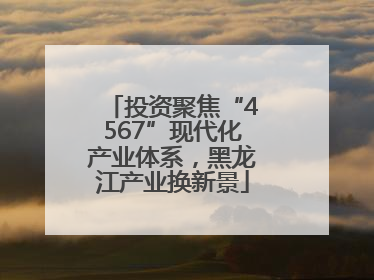 投资聚焦“4567”现代化产业体系，黑龙江产业换新景