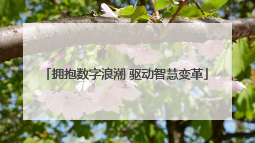 拥抱数字浪潮 驱动智慧变革