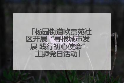 杨园街道欧景苑社区开展“寻根城市发展 践行初心使命”主题党日活动