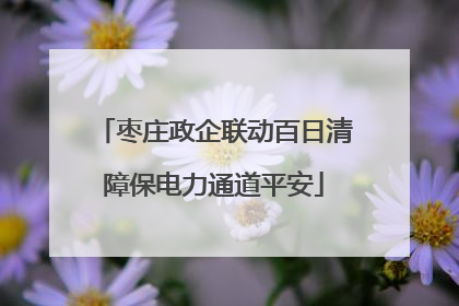 枣庄政企联动百日清障保电力通道平安