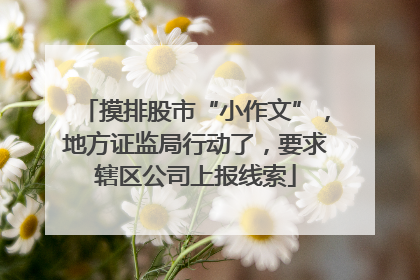 摸排股市“小作文”，地方证监局行动了，要求辖区公司上报线索