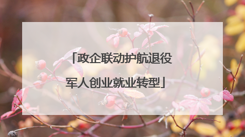 政企联动护航退役军人创业就业转型