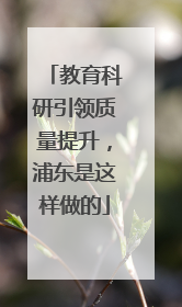 教育科研引领质量提升，浦东是这样做的