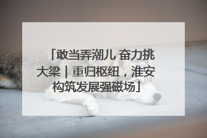 敢当弄潮儿 奋力挑大梁｜重归枢纽，淮安构筑发展强磁场