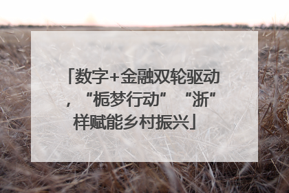 数字+金融双轮驱动，“栀梦行动”“浙”样赋能乡村振兴