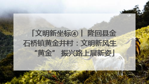 文明新坐标④丨 隆回县金石桥镇黄金井村：文明新风生“黄金” 振兴路上展新姿