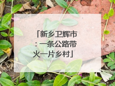 新乡卫辉市：一条公路带火一片乡村