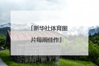 新华社体育图片每周佳作