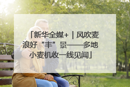 新华全媒+｜风吹麦浪好“丰”景——多地小麦机收一线见闻