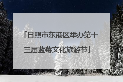 日照市东港区举办第十三届蓝莓文化旅游节