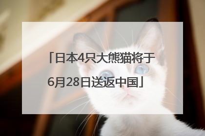 日本4只大熊猫将于6月28日送返中国