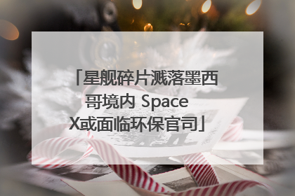 星舰碎片溅落墨西哥境内 SpaceX或面临环保官司