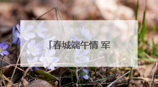 春城端午情 军营“粽”动员