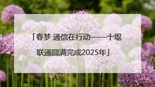 春梦 通信在行动——十堰联通圆满完成2025年