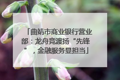 曲靖市商业银行营业部：龙舟竞渡扬“先锋”，金融服务显担当