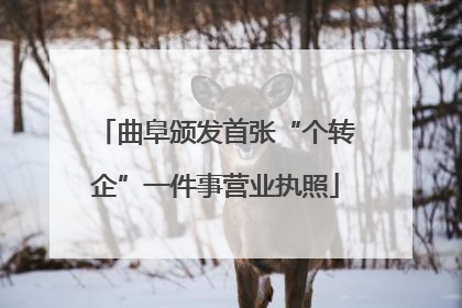 曲阜颁发首张“个转企”一件事营业执照