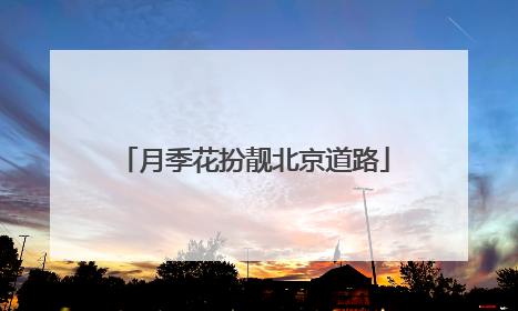 月季花扮靓北京道路