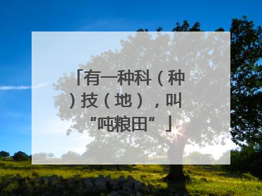 有一种科（种）技（地），叫“吨粮田”