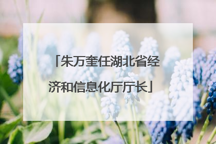 朱万奎任湖北省经济和信息化厅厅长