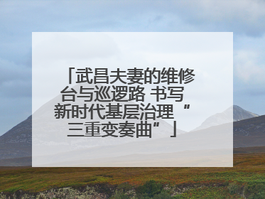 武昌夫妻的维修台与巡逻路 书写新时代基层治理“三重变奏曲”