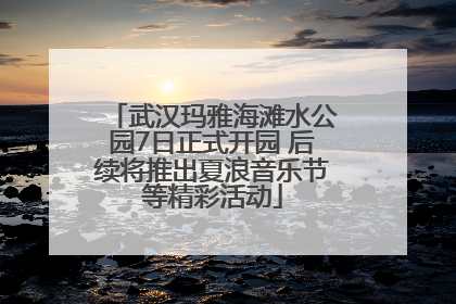 武汉玛雅海滩水公园7日正式开园 后续将推出夏浪音乐节等精彩活动