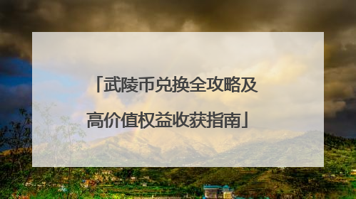 武陵币兑换全攻略及高价值权益收获指南