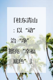 桂东青山：以“动”治“净” 擦亮“幸福底色”