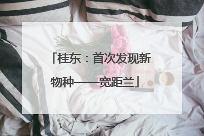 桂东：首次发现新物种——宽距兰