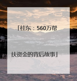 桂东：560万帮扶资金的背后故事