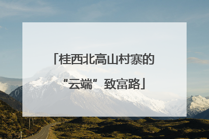 桂西北高山村寨的“云端”致富路