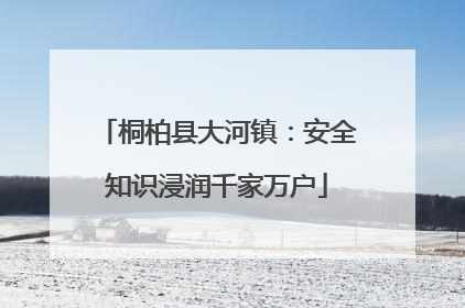 桐柏县大河镇：安全知识浸润千家万户