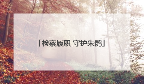 检察履职 守护朱鹮