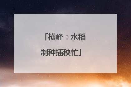 横峰：水稻制种插秧忙