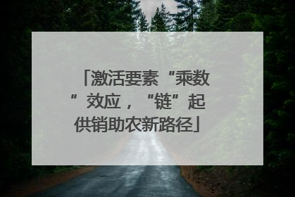 激活要素“乘数”效应，“链”起供销助农新路径