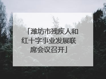 潍坊市残疾人和红十字事业发展联席会议召开
