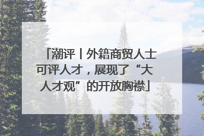潮评丨外籍商贸人士可评人才，展现了“大人才观”的开放胸襟