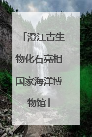 澄江古生物化石亮相国家海洋博物馆