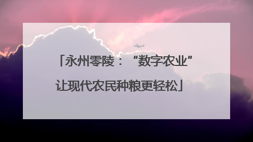 永州零陵：“数字农业”让现代农民种粮更轻松