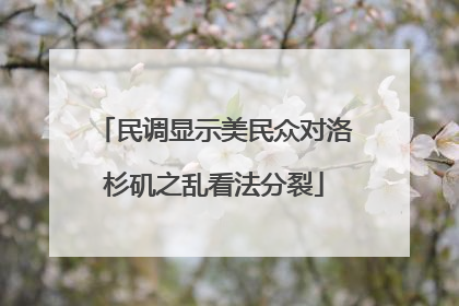 民调显示美民众对洛杉矶之乱看法分裂